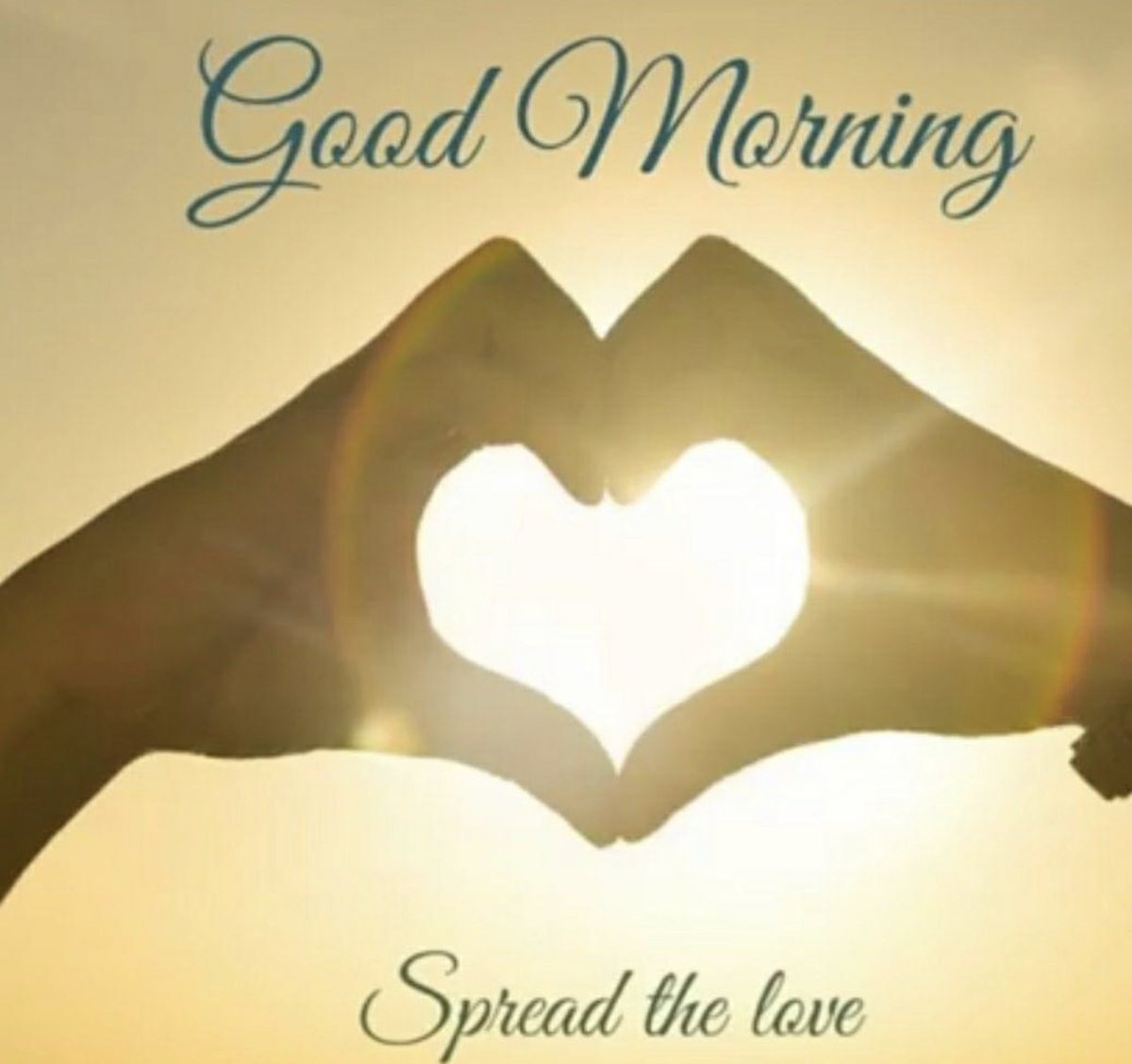 ColleyPasek's tweet photo. ☀️♥️☀️♥️☀️Happy Thankful Thursday to YOU! Do your BEST....BE the BEST! You can do anything YOU put your HEART &amp; MIND to😀Keep smiling ~ It LOOKS great on YOU! Think Positive &amp; Have a wonderful day🍀Be Safe♥️Hugs to you☀️♥️ https://t.co/8McYBu0GeZ