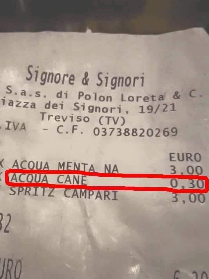 UnaCertaCarmen's tweet photo. Anche questa non è male a livello di poraccitudine vè https://t.co/Sn6tReoOB5