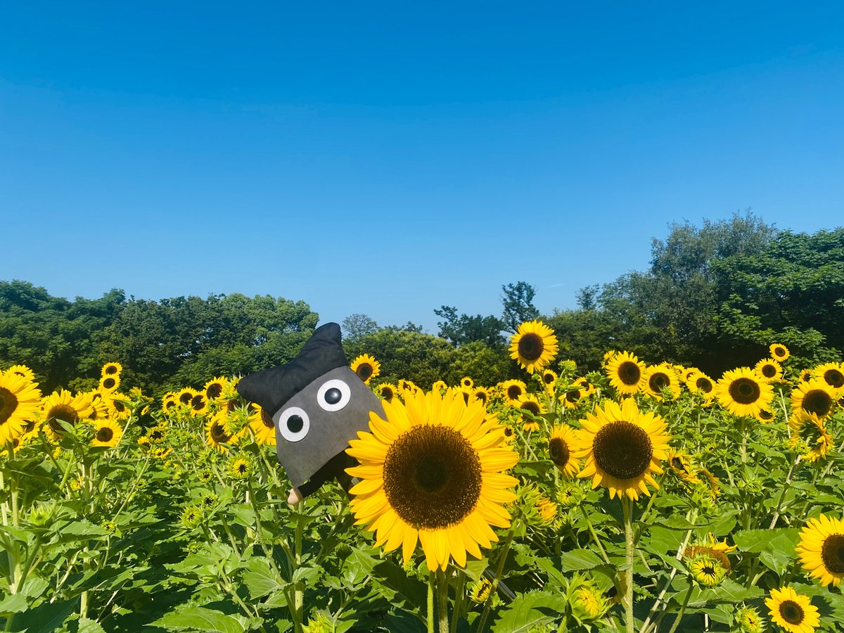 フィボナッチ数列