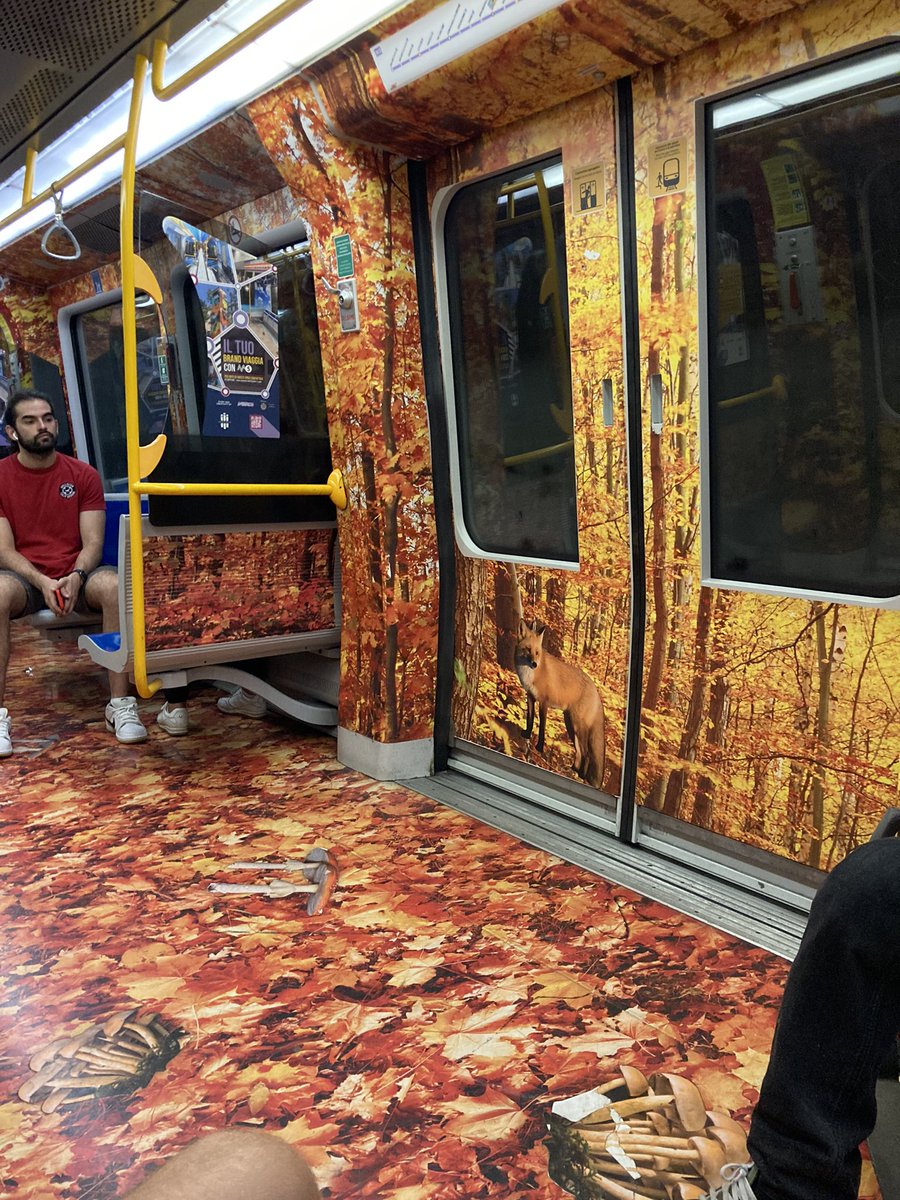 Chris__Murdoch's tweet photo. Do NOT take the Milan subway when in anyway under the influence. https://t.co/Jz67w7vNiU