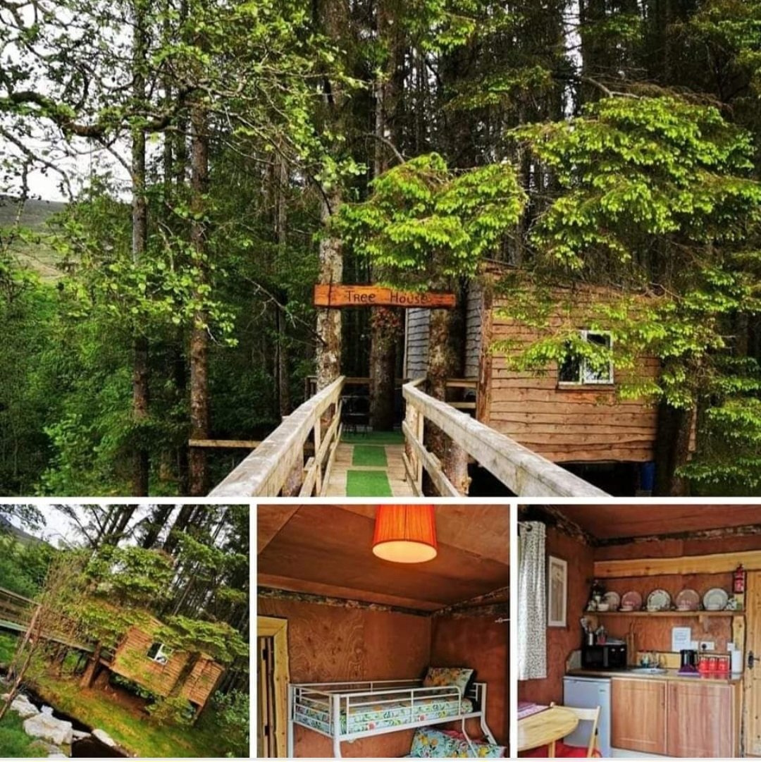 Dermot Mooney tweet media