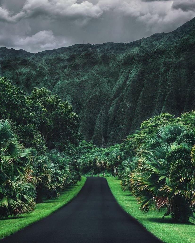 Hawaii 🍃