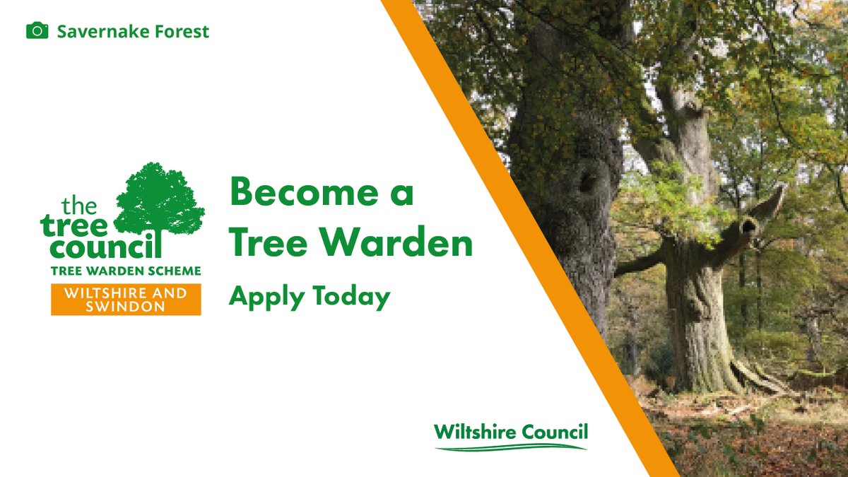 wiltscouncil's tweet image. 🌲 In partnership with @SwindonCouncil we&apos;ve received a grant from the Govt&apos;s Forestry Commission and @DefraGovUK Woodland Creation Accelerator Fund, we will be relaunching the national #TreeWarden scheme across Wiltshire.

Details 👉🏼 orlo.uk/wOjrd 

@TheTreeCouncil