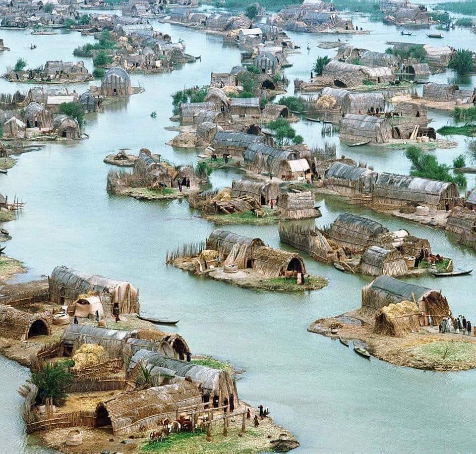 RyanHaecker's tweet photo. The Mesopotamian Venice: The Lost Floating Homes of Iraq. #MarshArabs
More details/photos: https://t.co/EQKdfeTQ7m https://t.co/y2NErDs1bT