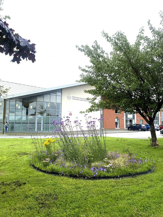 Limerick Libraries (@limklibraries) on Twitter photo The pollinator community garden outside #WatchHouseCrossLibrary 🪻🐝
Huge thanks to our local neighbours & partners for their continued contributions and support-<a href="/MoyrossResForum/">Moyross Res Forum</a> <a href="/CMoyross/">Corpus Christi Primary School, Moyross</a>
Learning Hub Limerick and Moyross Youth Academy😊
#LimerickLibraries #biodiversity #ESIF The pollinator community garden outside #WatchHouseCrossLibrary 🪻🐝
Huge thanks to our local neighbours & partners for their continued contributions and support-<a href="/MoyrossResForum/">Moyross Res Forum</a> <a href="/CMoyross/">Corpus Christi Primary School, Moyross</a>
Learning Hub Limerick and Moyross Youth Academy😊
#LimerickLibraries #biodiversity #ESIF