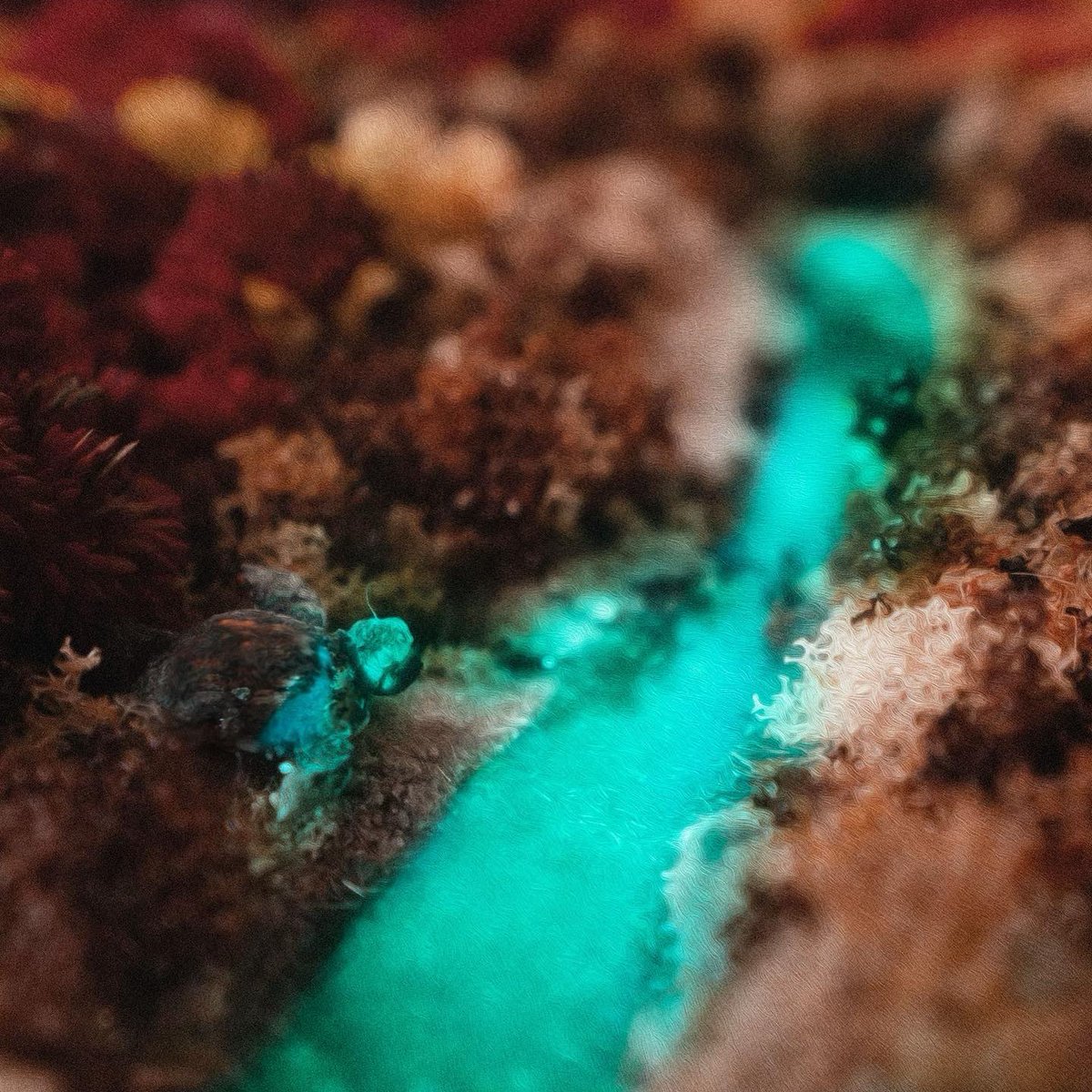 Our new single ‘Do Nothing’ will be out August 16 🧙‍♂️ You can pre-save it now at this link ❤️: winterbourne.lnk.to/DoNothing 

Photo by Jeff Andersen Jnr