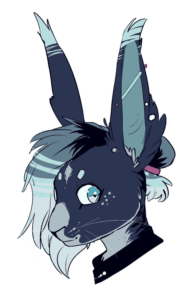 Wocky ✨ tweet media