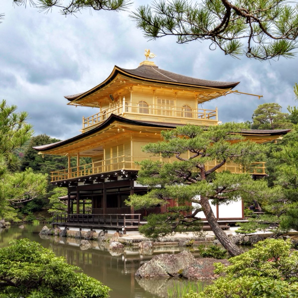 MikeVrobelPhoto's tweet photo. Travel Photography: Kinkaku-ji golden pavilion temple in Kyoto, Japan:
Fujifilm X-T5 with 18-120/4
\ #Kinkakuji #Kyoto #Japan  @visit_kyoto #travelphotography #pixelconnectiongiveaway  #MyFujifilmLegacy #fujifilmjapan #Fujifilm_US https://t.co/yg0dSjvgZU