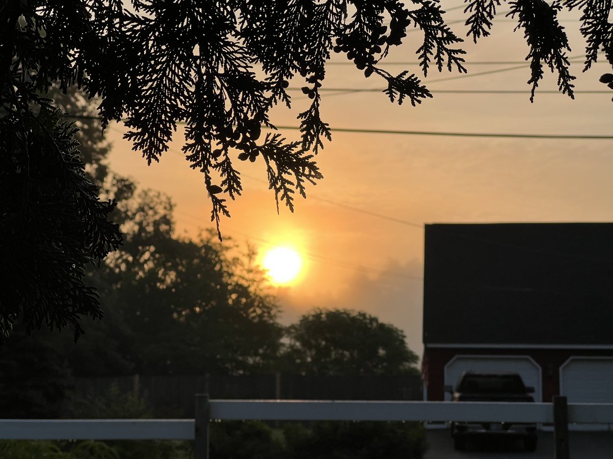 Judigal's tweet photo. Oh,the sunrise on a #ThankfulThursday was a symphony of colors, a true cosmic dance! Basked in its glow on my morning walk, feeling ever so grateful. As for the skeeters ๐ฆ, well, they were there too, eager to join in on the fun. Less thankful for their enthusiasm! #BitingSarcasm https://t.co/b0exCDOjeC