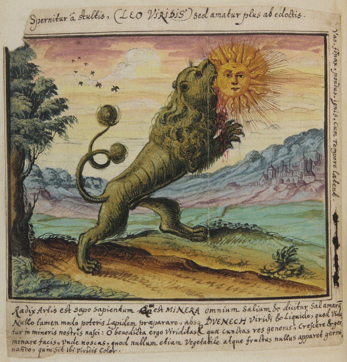 A lion eating the sun, from a circa 1760 alchemy book.
#GoodMorning