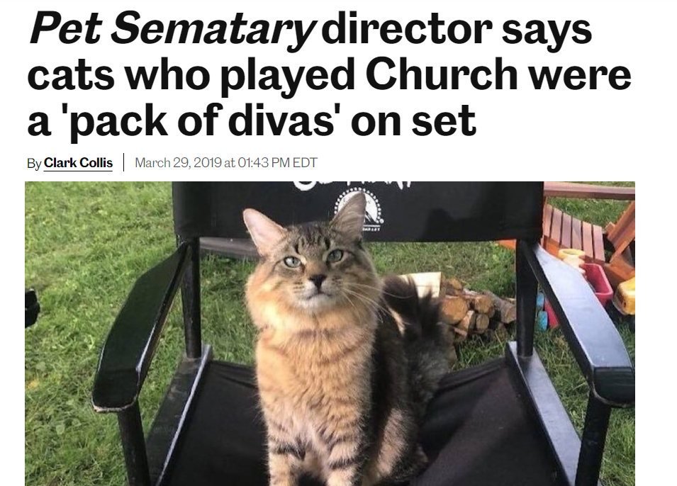 CatWorkers tweet picture