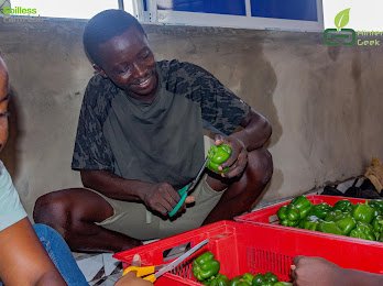 HinterlandGeek's tweet photo. Don't stop smiling. Smile always.

Smile (humor, happiness) is the first vegetables (medicine)

You deserve good health. You deserve to smile.

We are just a DM away for your other vegetables...

#Hinterlandgeekltd
#VegViands
#BGwastemgt
#catchdemyoung https://t.co/XizJvOMIKB