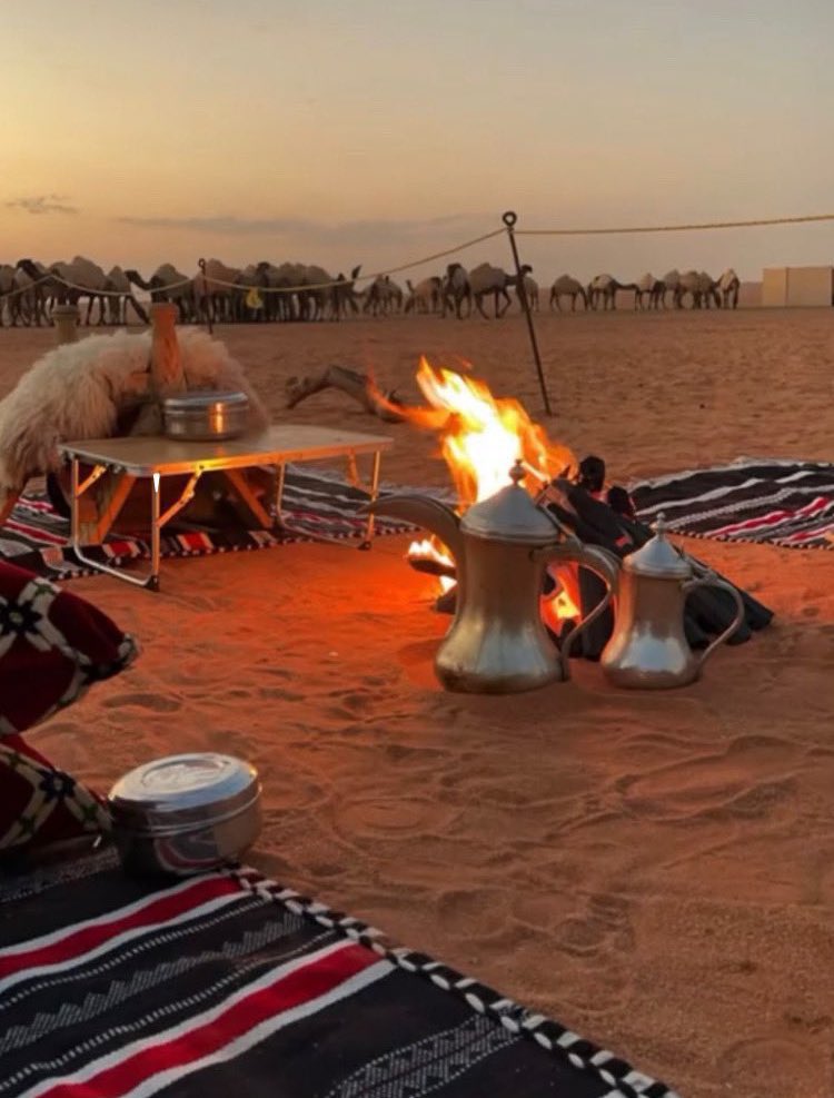 البساط الاحمدي مع واحدٍ يغلينا
خير من ناس نجالسها ولا نامنها