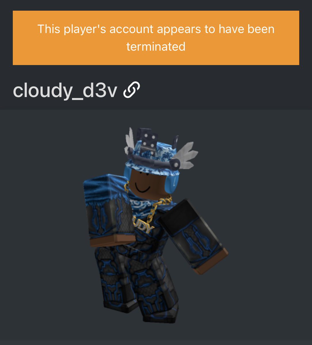 Former UGC creator “cloudy_d3v” has now been terminated from Roblox. The good ending. #Roblox #RobloxUGC