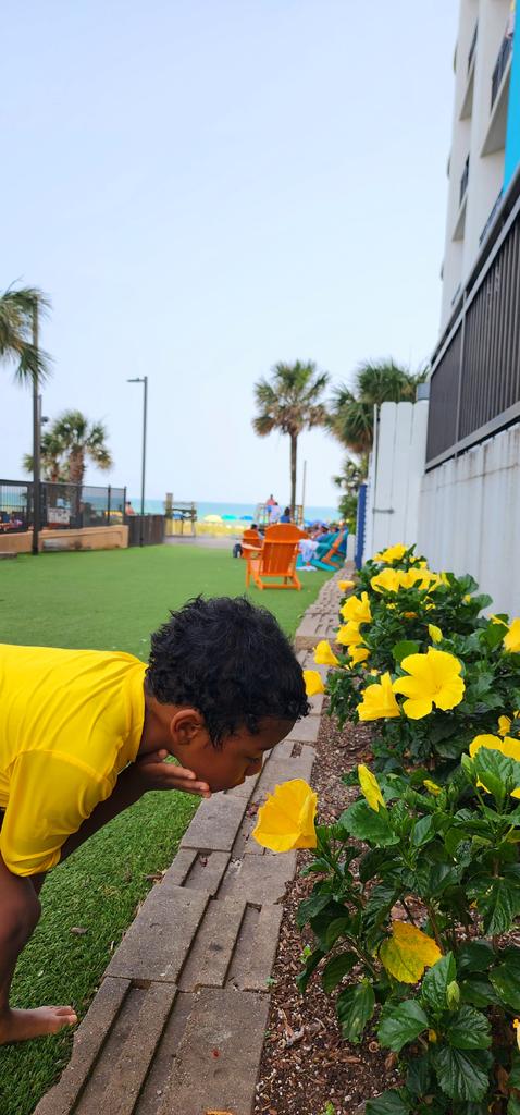 jmartinezVCS's tweet image. Here is a thought to start our day: Technology empowers us to turn our dreams into a reality, code into innovation,  and challenges into opportunities! #MrMartinezSaidIT
Have a great day everybody! #ThoughtForTheDay #ShareVCS #VCSIT