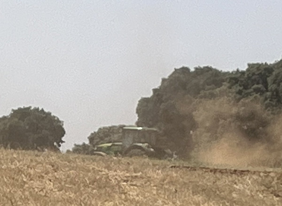 frgumer's tweet image. Terminada la cosecha, te pones otra vez a preparar la tierra. No es la maldición de Sísifo, es la bendición de Dios que hace germinar la tierra que Adán ha dejado preparada