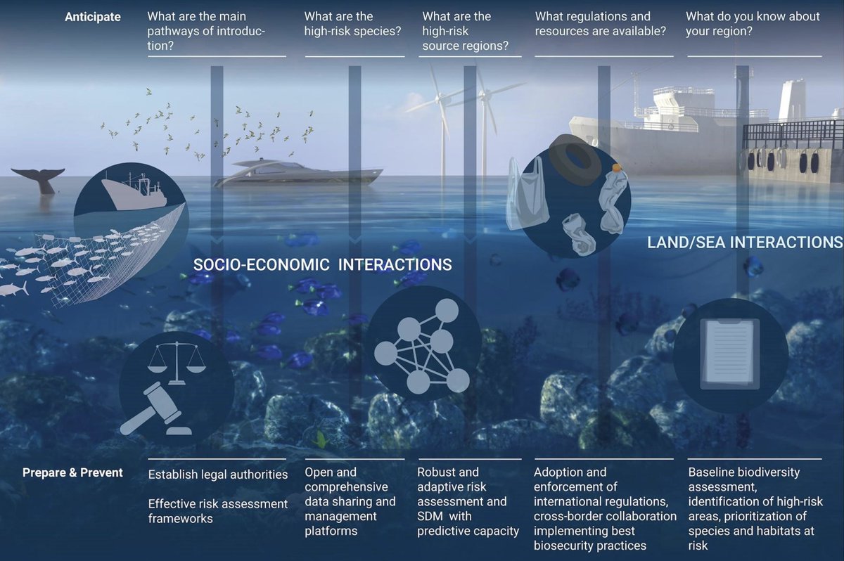 peixotors's tweet photo. New paper out! https://t.co/Zi6ltUC8eU Biosecurity programs should be practical, feasible, cost-effective,  mainly focused on prevention and early detection, and integrate government, NGOs stakeholders, and local citizens for a rapid response. https://t.co/O27nuFZaZp