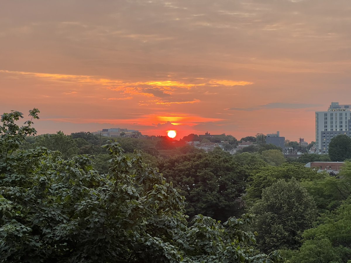 wqueens7's tweet image. I started my day’s morning with beauty 
But then social media interfered 
The algorithms showed me my duty
By anger’s wrongdoing I was then smeared 
#Selfiepoem
#dawnpoem
#algorithmsofoppression