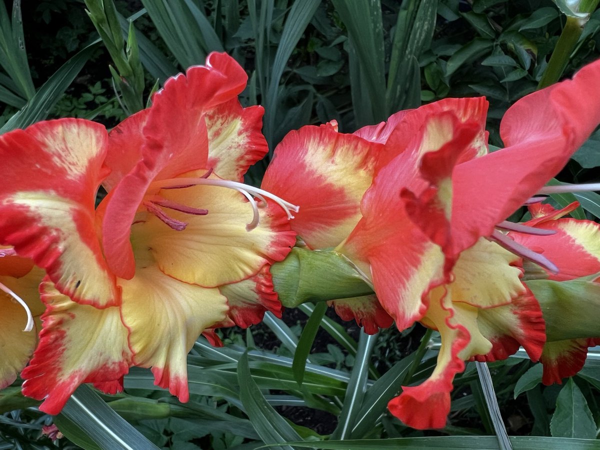 Rereading Deepwork. If you use time blocking, how many do you expect yourself to complete in a day?  What’s your interval length? 90 minutes? Longer?