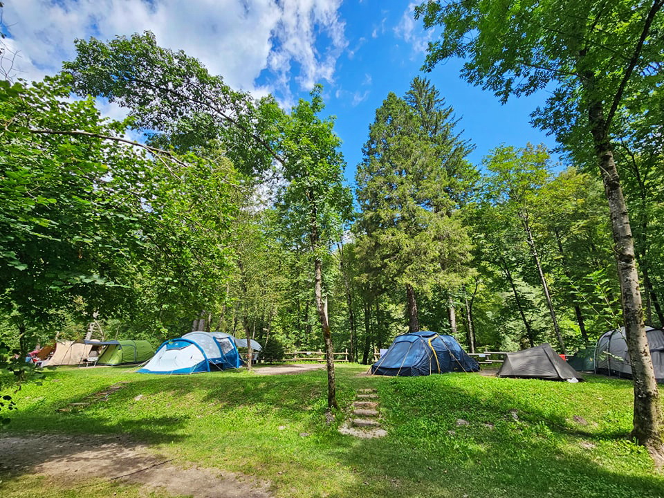 Avtokampi.si tweet media