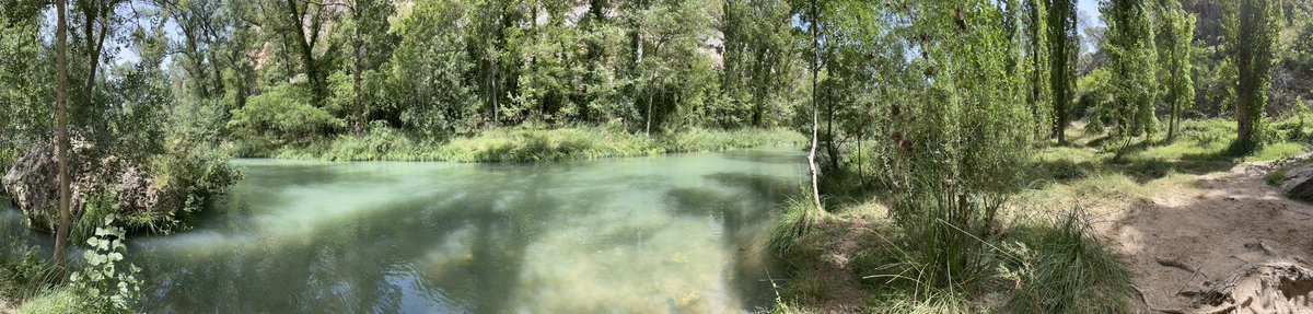 piesarthur's tweet photo. Mirar el lugar más bonito que he encontrado cerca de mi

El agua está FRÍA 😂😂😂🥰😈👣🫡
#riojucar #cuenca #aguafria #paisajebonito #bosque #forest #rio #river https://t.co/iJZ2QBCtc5