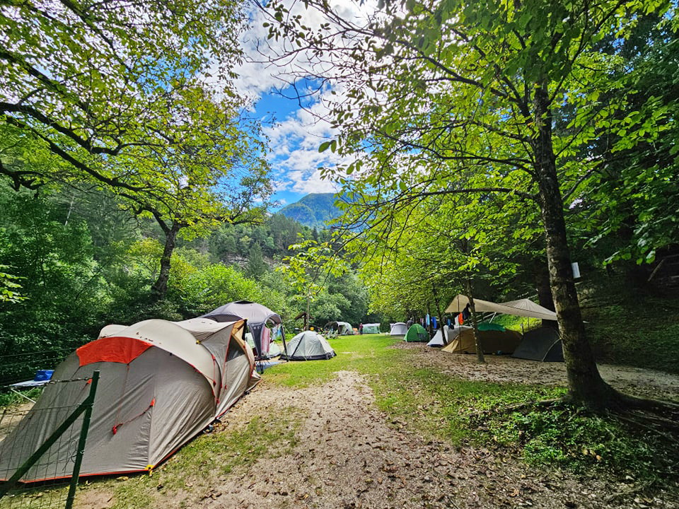 Avtokampi.si tweet media