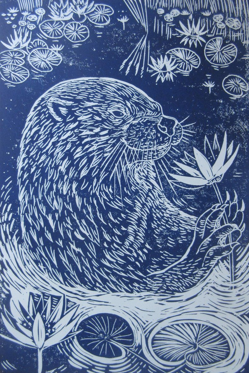 Possibly the reason that Hookland's otters feast on white water lilies... <a href="/HooklandGuide/">Hookland</a>