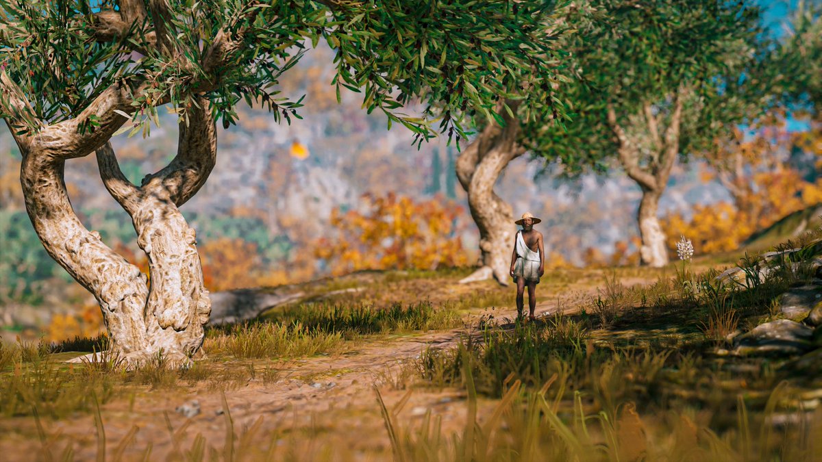 sistasangen's tweet photo. Assassin's Creed: Odyssey       

#TOWCBWeeklyCaptureAC #VGPUnite #ArtisticofSociety #TheCapturedCollective #VPContext #VPRT #VirtualPhotography #ThePhotoMode #LandofVP #Picashot #VPGamers #GamerGram #VPEclipse https://t.co/Vv6sup7Xi5