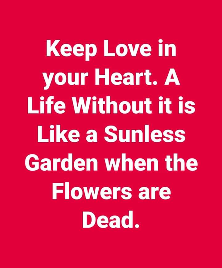 roodo_indho's tweet photo. @habonhamitty https://t.co/M7e7azYrLH