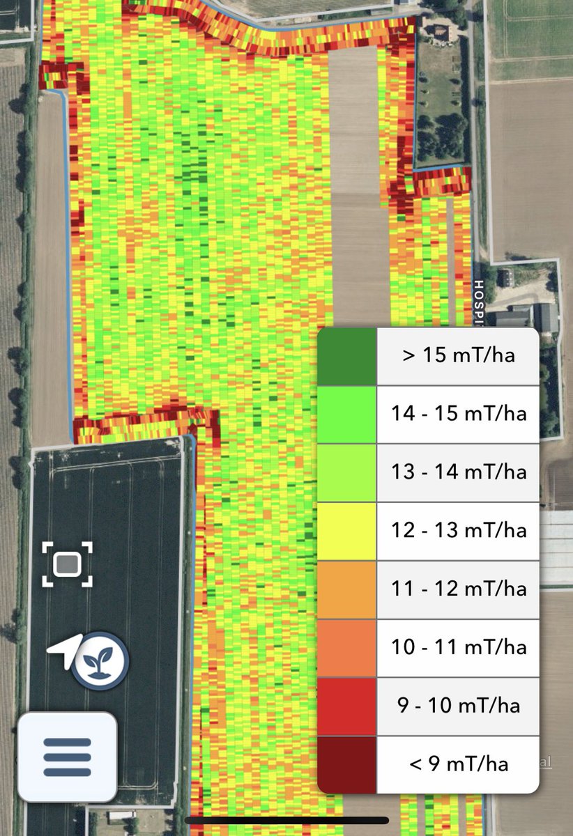 Winter wheat variety SY Graham leading the yield board at the moment. A good standing crop and decent grains, grown for seed for <a href="/ADMAgriculture/">ADM Agriculture Ltd</a>. Consistent &amp; reliable variety for us. 😎🌾💪🏼 <a href="/SyngentaUK/">Syngenta UK</a>