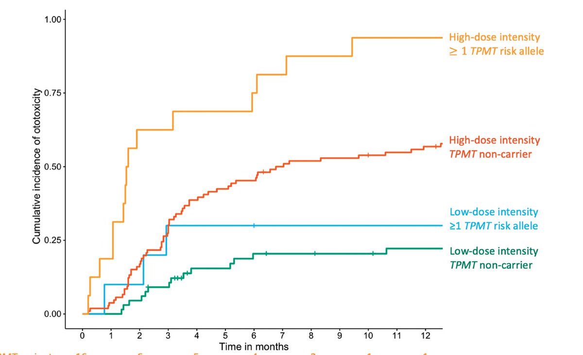 Fernando Gutiérrez Nicolás tweet media