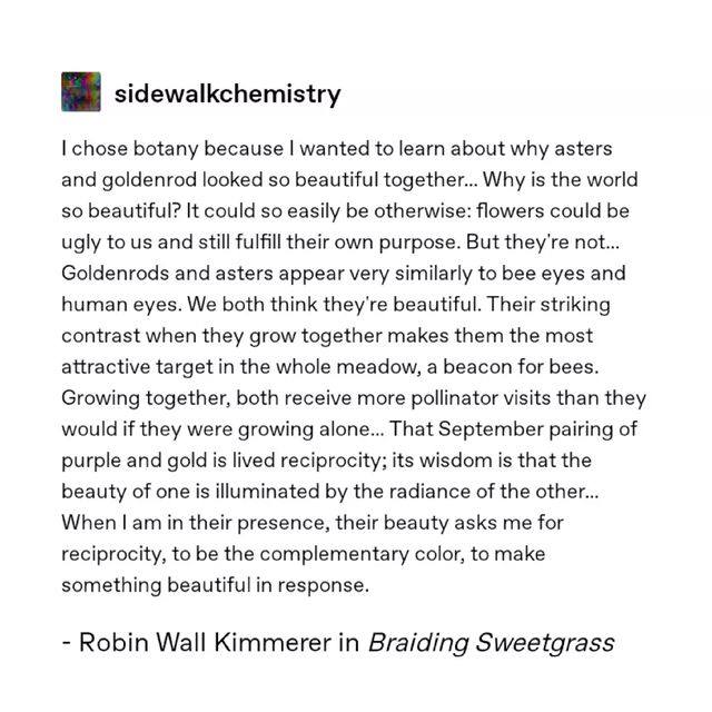 🧺🌿 in some native languages, the term for plants translates to "those who take care of us".