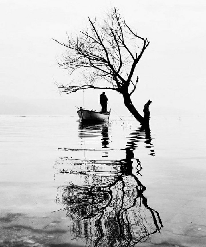 clicks1222's tweet photo. #blackandwhitephotography
#bnw_souls #blackandwhite #monocromatica #universe_in_bnw #bnw_greatshots #minimalist #minimalizm #bnwminimalismmag #bnwphoto #bw_lover #bnwlas #lensview https://t.co/qCn9Kge9RD
