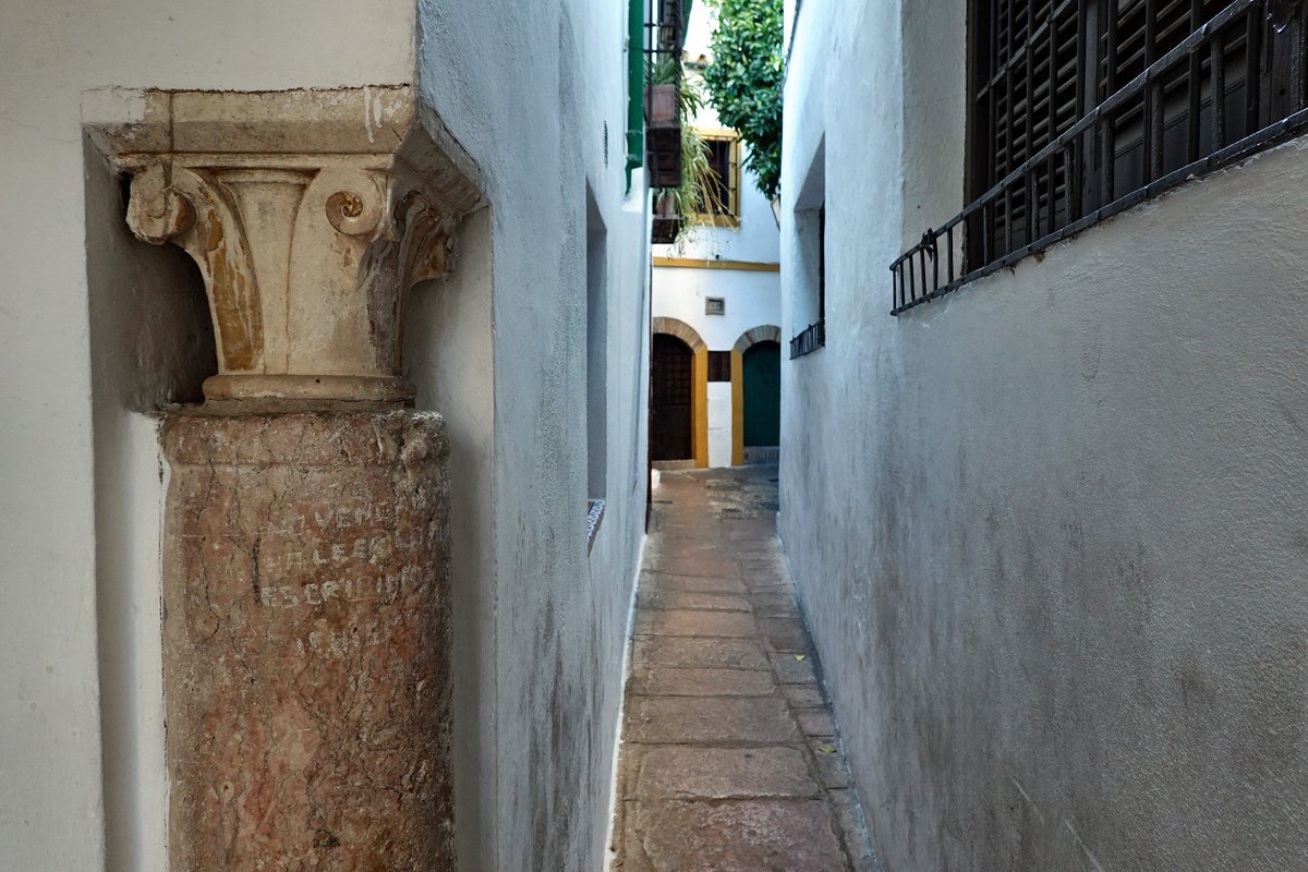 giraldeo's tweet photo. Es muy llamativo cómo hoy llamamos desorden y caos a algunas morfologías urbanas españolas, en lugar de explicar que su razón de ser, su explicación, es ni más ni menos que el Islam.⬇️

El pasado musulmán de la península ibérica (700 años de dominio) tiene que ver mucho con la configuración de las ciudades que nos dejaron (o nos dejamos). La cultura musulmana está muy ceñida a la propia religión. El culto a la privacidad, al valor del núcleo familiar, a la no exposición, al retiro y a la discreción como forma de vida. Y esto se lee en sus ciudades: huyen de las calles amplias, pues se valoran más los patios interiores privados, y huyen de las amplias perspectivas -porque eso es hasta exhibicionista- y por ello prefieren quiebros y rincones inaccesibles. La ciudad no es lo que pasaba en la calle, sino todo lo que pasaba dentro del mundo privado. La ciudad debía ser todo lo que no se podía ver. Una ciudad velada. Una ciudad exterior mínima para atender a la verdadera ciudad: el hogar privado. La ciudad de las grandes y gruesas fachadas de escasas ventanas, aunque grandes y preciosos jardines interiores. El arte, la cultura y los encuentros siempre intramuros. Hacia afuera la austeridad y hacia el interior la exuberancia. 

Como testigos quedan esos quiebros y estrechas calles que, contra lo que mucha gente piensa, no es en absoluto una ciudad desordenada y caótica. Todo lo contrario, es una ciudad perfectamente ordenada, pulcra y coherente. Pero a una realidad distinta, a una realidad secreta que ya no existe.
