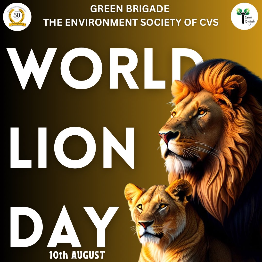 🦁🌍 #WorldLionDay is a reminder of our responsibility to safeguard these incredible animals and their homes. Let's stand together, raise awareness, and make a difference for the future of lions. Join the roar for conservation! #ProtectLions #WildlifeProtection 🦁🌍
