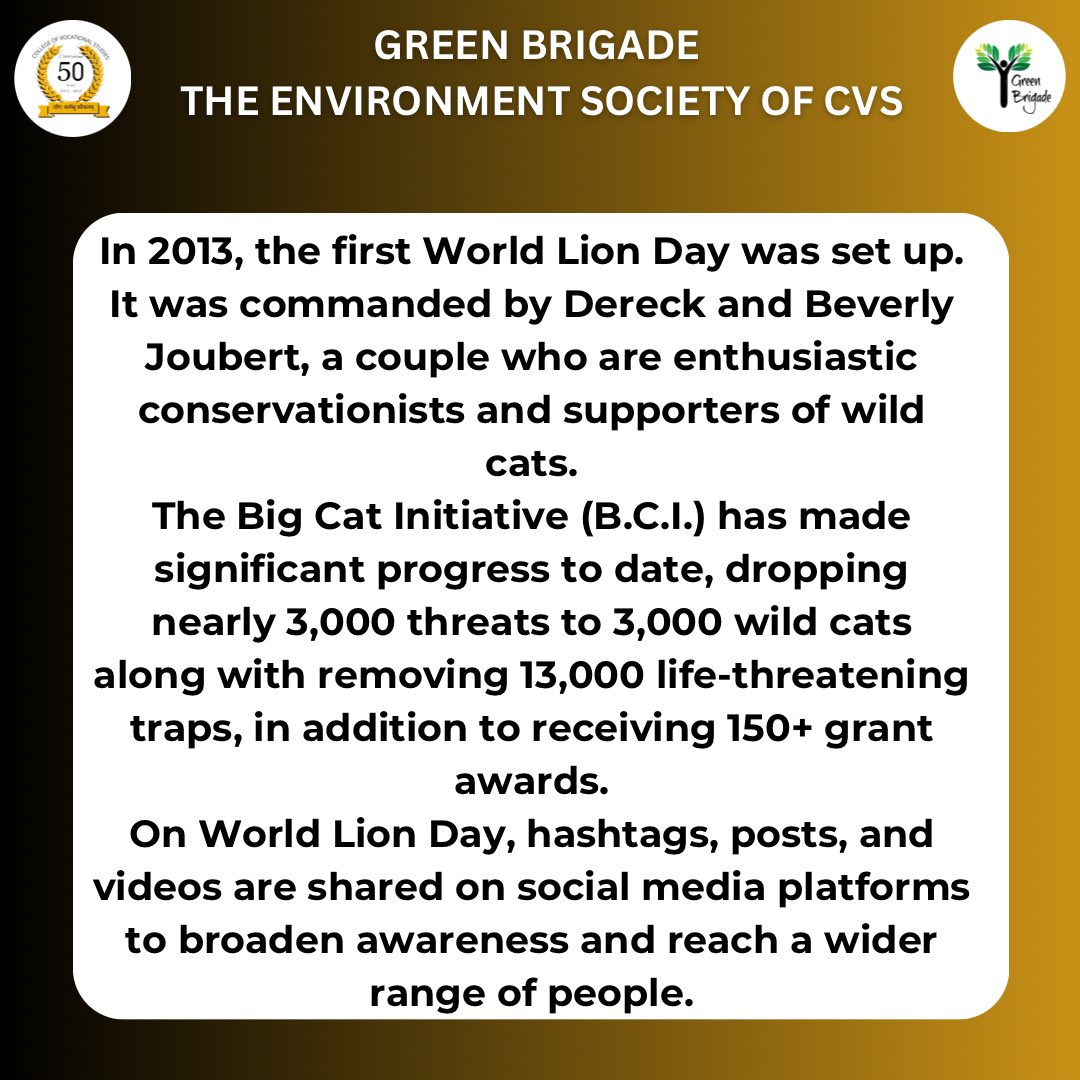 _GreenBrigade's tweet photo. #WorldLionDay2023 🦁🐅✨ https://t.co/jV2c3oYVkl
