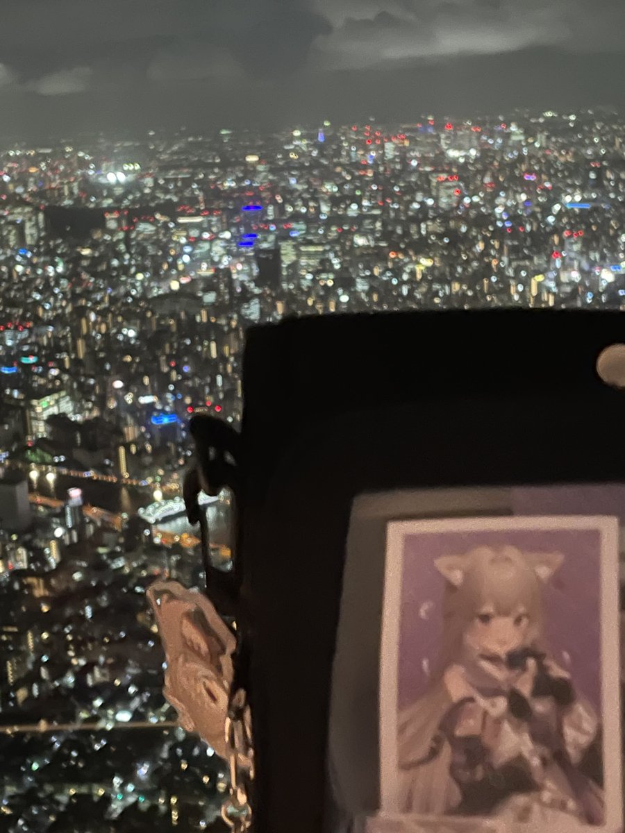 nyamork's tweet photo. @niubie_yozuna I took them to Tokyo Skytree… 🥰 https://t.co/hfPz9wudOl