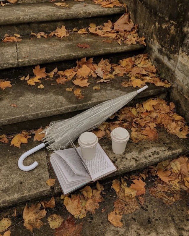 Can’t wait for rainy fall days