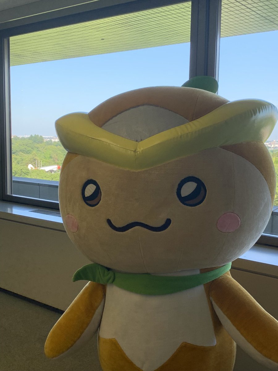 みんな聞いてー💛
明日の #ヒルナンデス で #所沢 が紹介されるよーん🤭
もしかしたら、ボクも登場⁉️⁉️
明日はとっても楽しみな一日だーん😍
#所沢 #イメージマスコット #トコろん #久本雅美 #SHELLY #王林 #BBQ