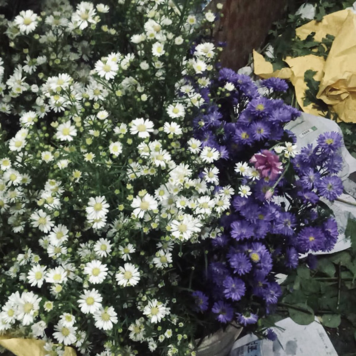 Helloo❕im looking for new mutuals especially maba unjani dan semi-gap, aku mau punya temen ambis banyak banyakk.

⋆ ★ call me tiaa
⋆ ★ virgo august
⋆ ★ Int relations student 23
⋆ ★ ESFJ

ps: help like and retweet, thank you so much really appreciated ♡🧸