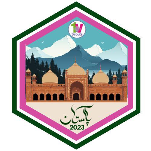 1V Scouts tweet media