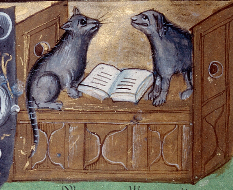 Medieval_Badger's tweet photo. A cat and a dog share their mutual love of reading for #NationalBookLoversDay (Abbeville, Bibliothèque municipale 16, f. 23v, hat tip to @WeirdMedieval from last year) #CatsofTwitter #DogsofTwitter #Medievalanimals https://t.co/HaPqGAtqM1