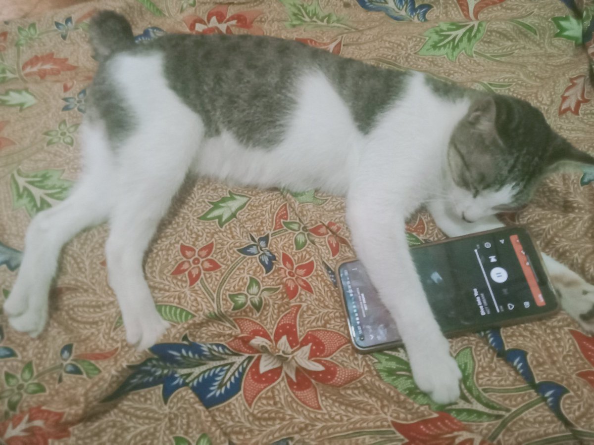 NHilma6's tweet photo. Sepi banget, yaudah mending turu sambil dengerin musik https://t.co/QZyuRJxBt3