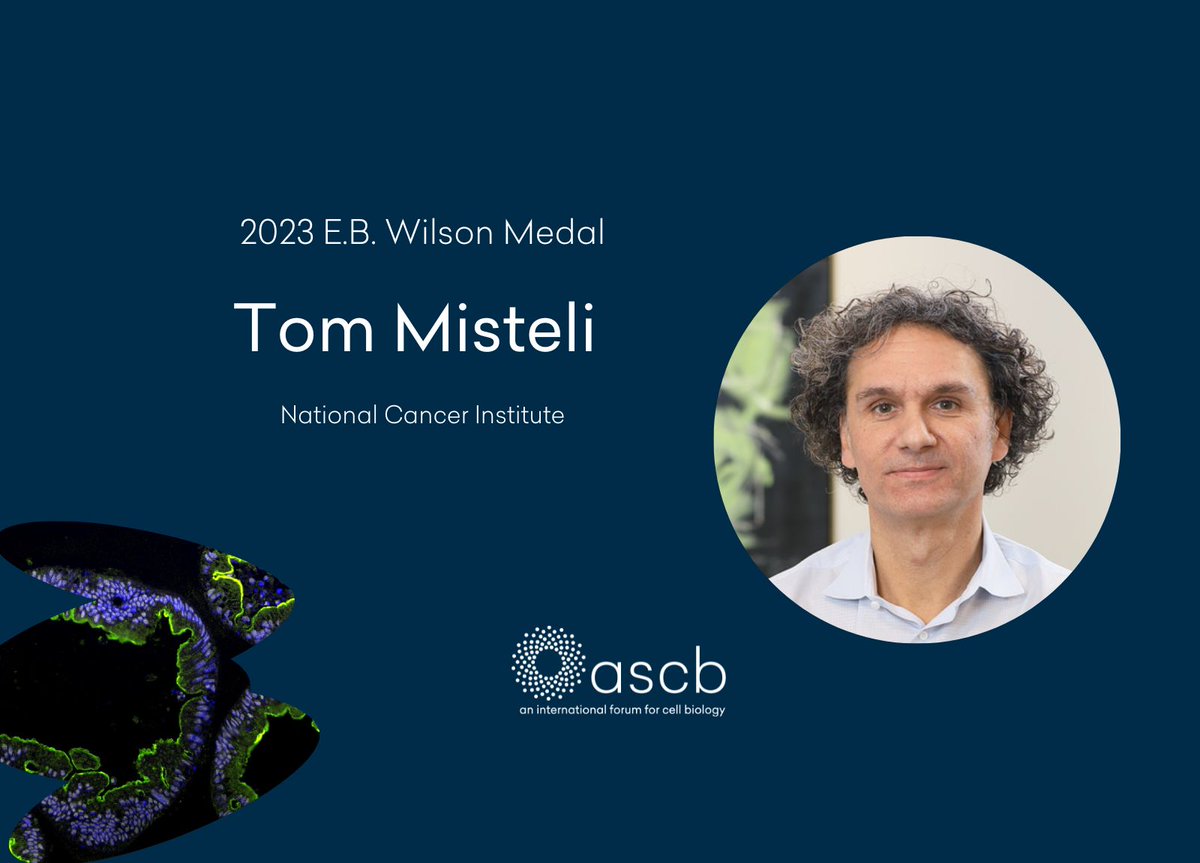 American Society for Cell Biology (@ascbiology) on Twitter photo Congratulations to Tom Misteli of the National Cancer Institute on winning ASCB’s 2023 E.B. Wilson Medal--presented at #cellbio2023 to distinguished researchers for their far-reaching contributions to cell biology over a lifetime in science.
@NCITomMisteli <a href="/theNCI/">National Cancer Institute</a> Congratulations to Tom Misteli of the National Cancer Institute on winning ASCB’s 2023 E.B. Wilson Medal--presented at #cellbio2023 to distinguished researchers for their far-reaching contributions to cell biology over a lifetime in science.
@NCITomMisteli <a href="/theNCI/">National Cancer Institute</a>