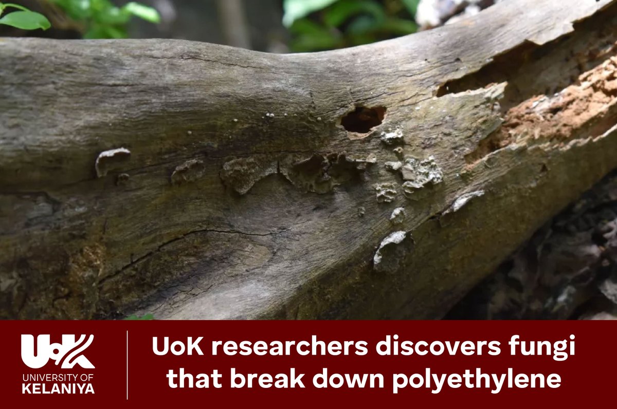 news.kln.ac.lk/index.php/upda…