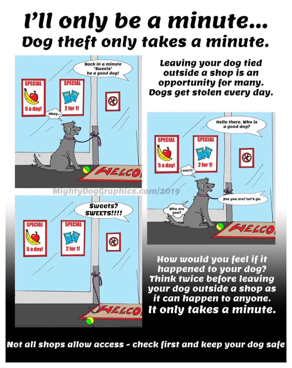 Don’t take the risk ‼️

It’s easy to think your dog will be safe while you pop to your shop, leaving him/her tied up outside

It’s never safe 🐕🐾

Never leave your dog unattended, there are dog thieves everywhere

#Dogs #DogSafety