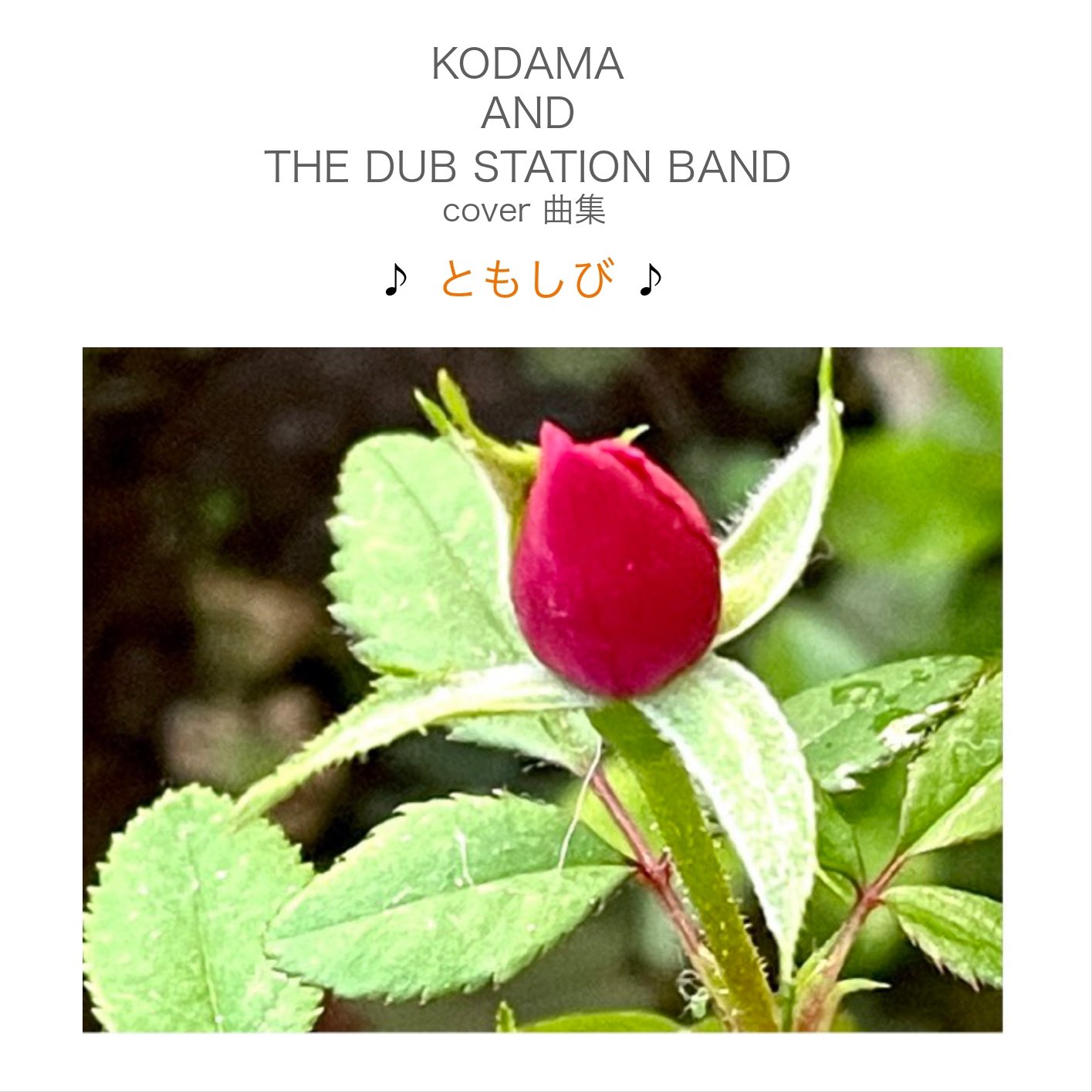 echo-info（staff）🎺 🎗🕊🌻🍉✨ on X: 