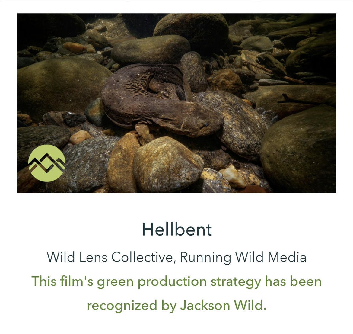 Hellbent has been recognized by @JacksonWild for our green production strategy. We worked hard to keep our footprint low throughout production, ensuring every step of our journey was taken with the environment in mind. More about our film ➡ hellbentfilm.com #wildlifefilm