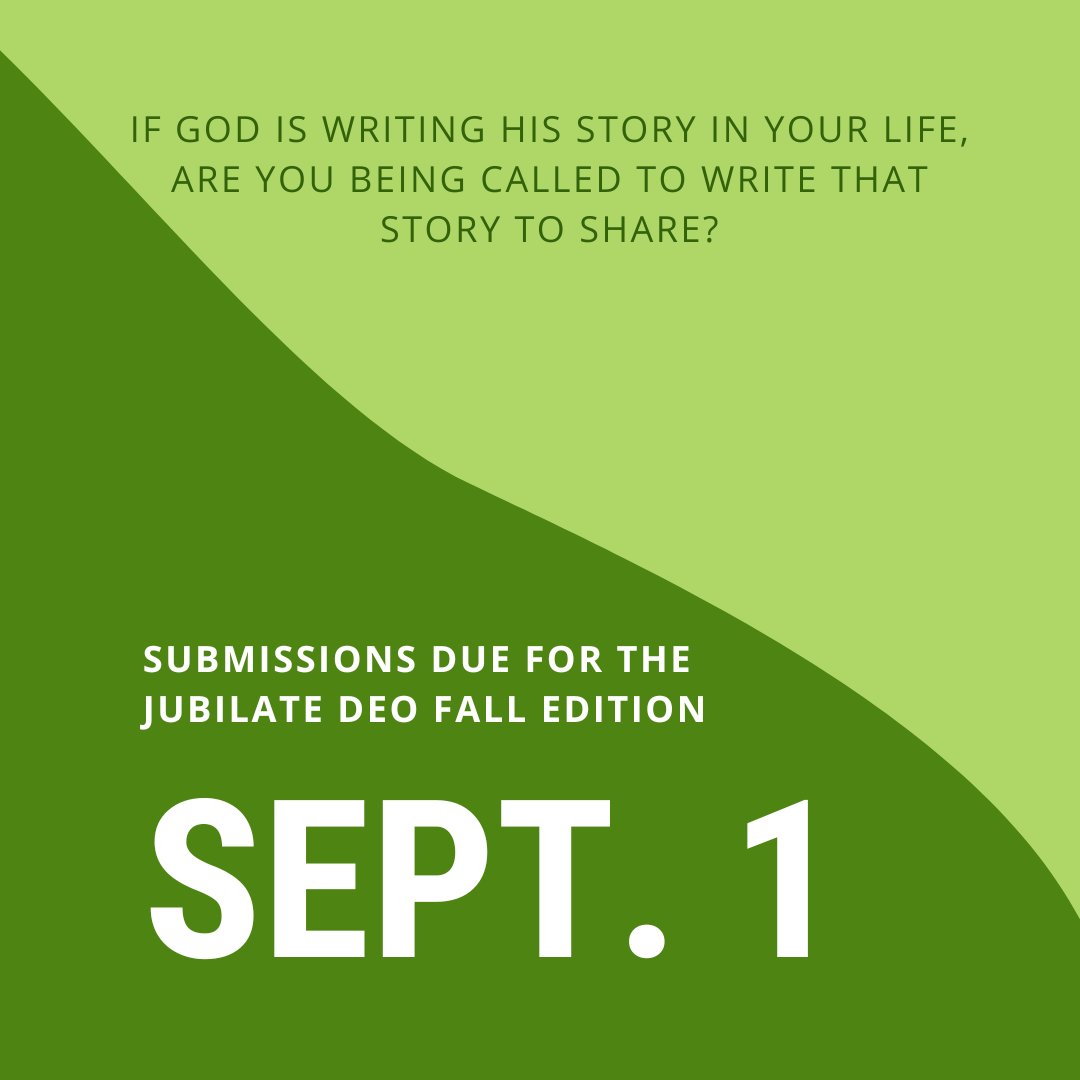 Anglican Diocese of SC tweet media