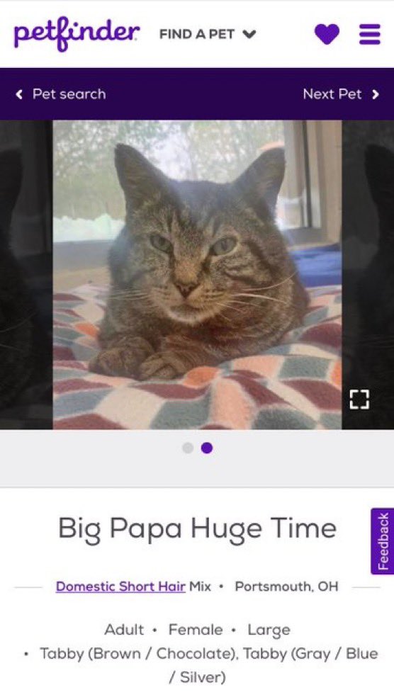 just checked my watch